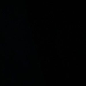 Meet your Posher, Jerry